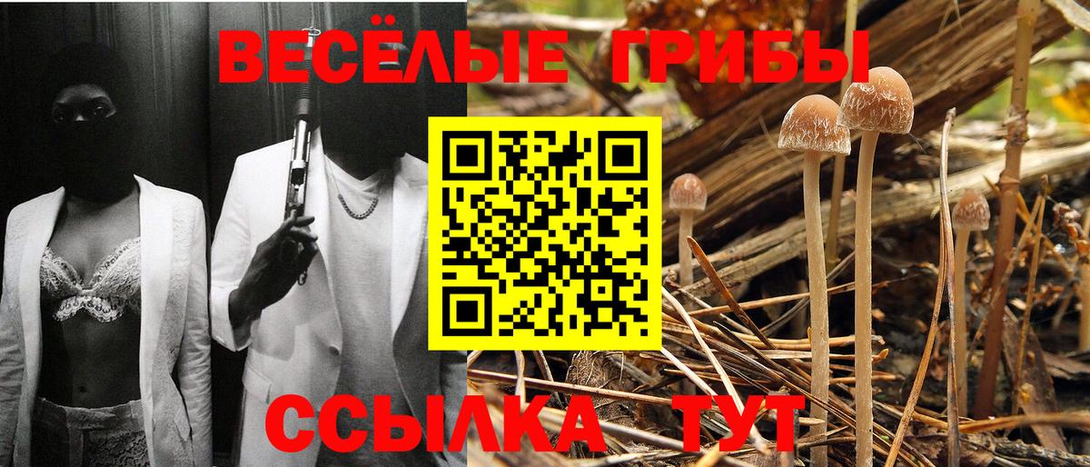 Псилоцибиновые грибы GOLDEN TEACHER Зима