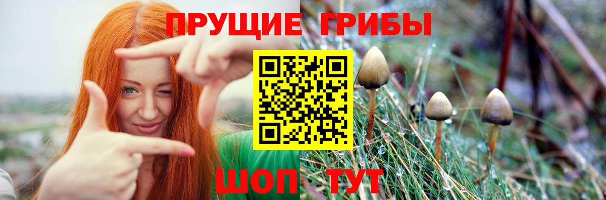 Псилоцибиновые грибы ЛСД  Вход с VPN  Зима  Псилоцибиновые грибы прущие грибы 